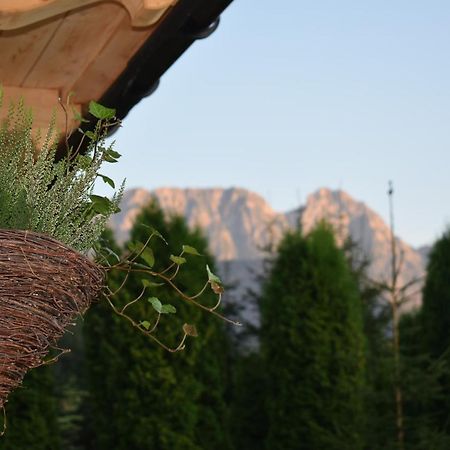 Fiedorowka Villa Zakopane Exterior foto