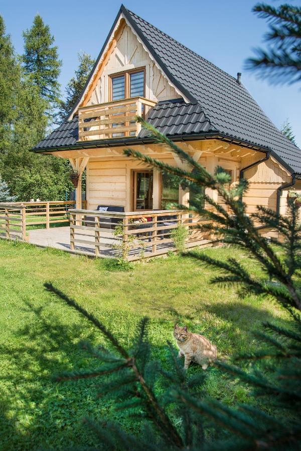 Fiedorowka Villa Zakopane Exterior foto