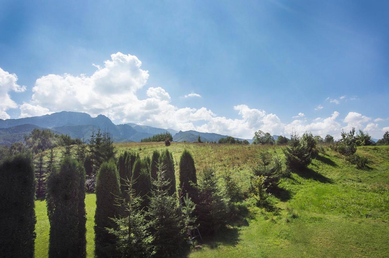 Fiedorowka Villa Zakopane Exterior foto